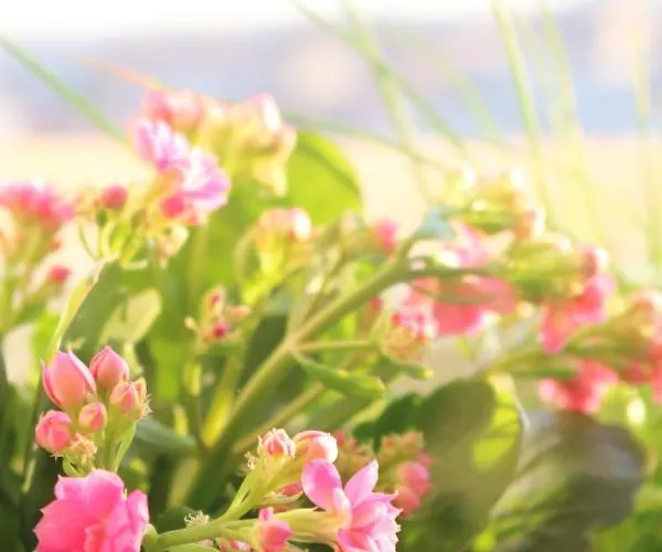 Monopoly House - Families Only! Lisboa