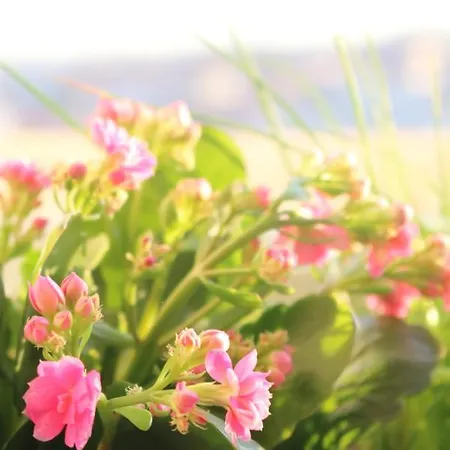 Monopoly House - Families Only! Lissabon